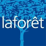 LAFOR&Ecirc;T IMMOBILIER LD IMMOBILIER FRANCH. IND.